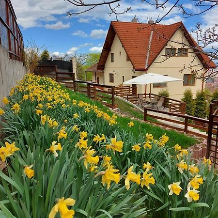 Apartament Matei บราชอฟ ภายนอก รูปภาพ